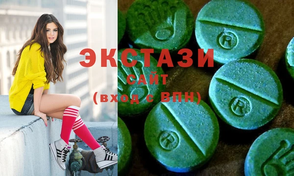 ECSTASY Инсар