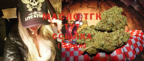 ECSTASY Инсар