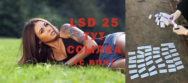 ECSTASY Инсар