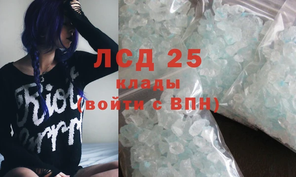 ECSTASY Инсар