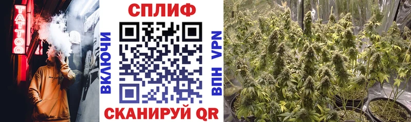 Купить  Шали  Марихуана THC 21% 